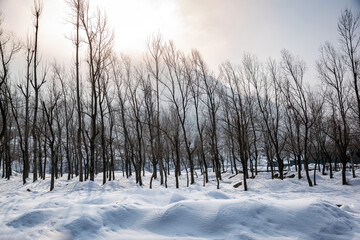 Snow-filled farm villages and rivers on the way from Srinagar to Sonmarg and Gulmarg
