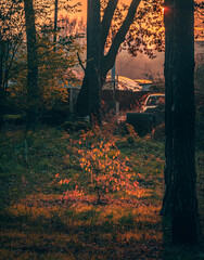 Fototapeta na wymiar Autumn sunset