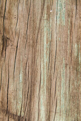 madera textura fondo
