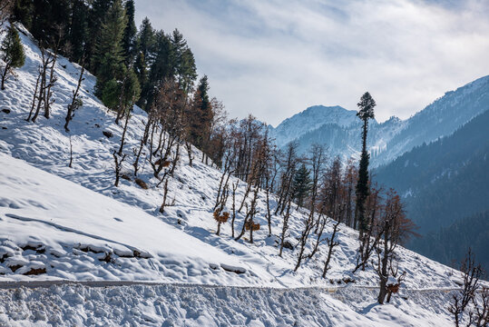 The winter scene in Aru Valley near Pahalgam, Kashmir, India.