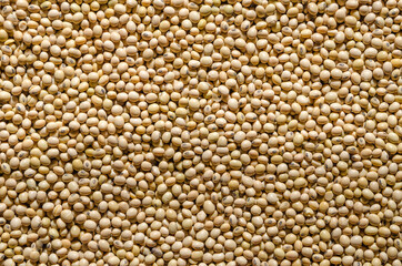 Close up of soya beans background