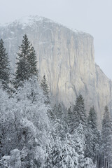 Yosemite Winter