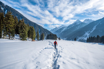 The winter scene in Aru Valley near Pahalgam, Kashmir, India.