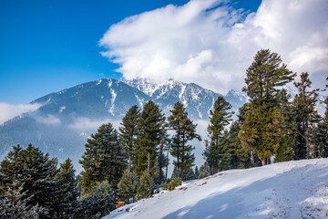 Beautiful view of pahalgam valley, Pahalgam, Kashmir, India