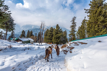 Beautiful view of Pahalgam during winter season