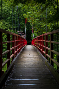 bridge in the forest © Kota Irie