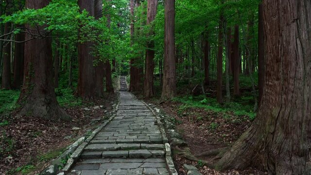杉林の中を通る石畳の参道