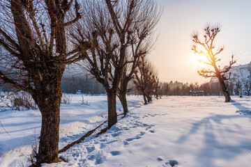 View of Betab Valley in winter season, near Pahalgam, Kashmir, India