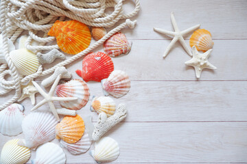 Summer Vacation memories concept. seashells on White wooden background. Colorful seashells composition background for summer greeting card, event, banner, frame design.