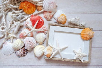 Summer Vacation memory concept. seashells on White wooden background. Colorful seashells composition background for summer greeting card, event, banner, frame design.