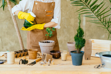 Unrecognizable female gardener wearing apron, working in her home garden, spraying pure water or fertilizer to her plant in pot with green spray bottle. - Powered by Adobe