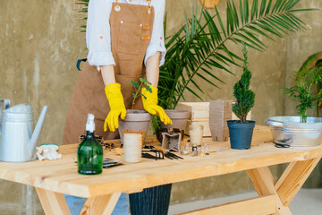 Unrecognizable woman gardener in apron and yellow gloves posing around plants in her home garden at green background. Love of houseplants, hobby concept.