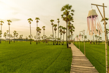 Wooden bridge in the middle of green rice fields