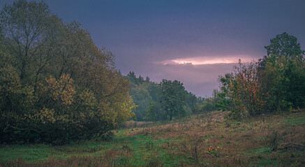Autumn woods