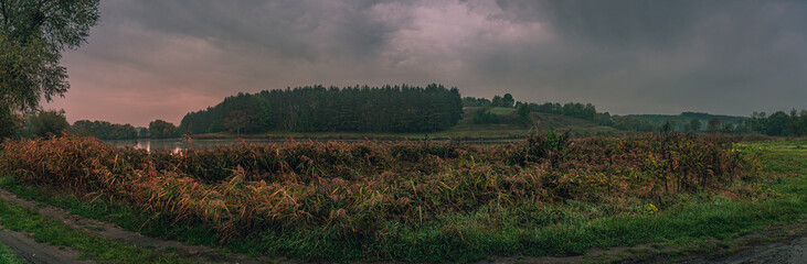 Autumn woods