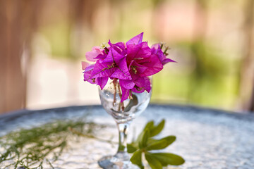 Summer surreal flowers creative trendy concept. Pink flowers Bougainvillea in a glass of wine on the glass table. Summer vacation concept. Copy space