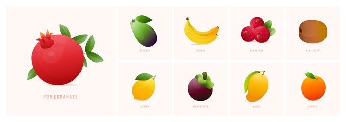 Set of fruits, Modern style vector illustrations. pomegranate, Avocado, Banana, Cranberry, Kiwi, Lemon, Mangosteen, Mango, Orange etc.