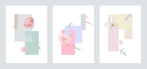 Botany poster template design, various flowers and leaves with geometric shapes