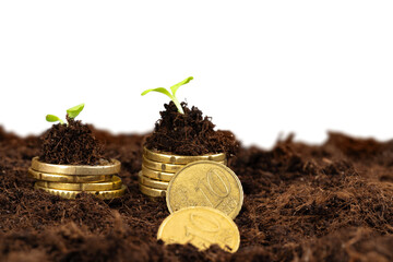 Euro coins and plant sprouts, financial growth concept