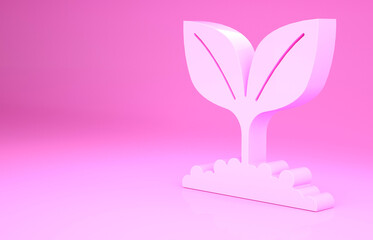 Pink Plant icon isolated on pink background. Seed and seedling. Leaves sign. Leaf nature. Minimalism concept. 3d illustration 3D render