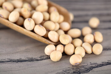 A spoonful of scattered soybeans