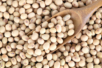 Soy beans background and a wooden spoon
