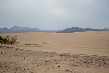 Fototapeta na wymiar Dünen auf Fuerteventura mit Sand