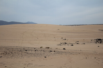 Fototapeta na wymiar Dünen auf Fuerteventura mit Sand