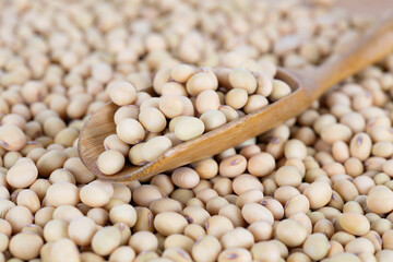 Harvested soybeans and the spoon on top