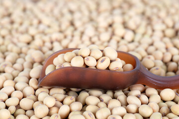 Harvested soybeans and the spoon on top