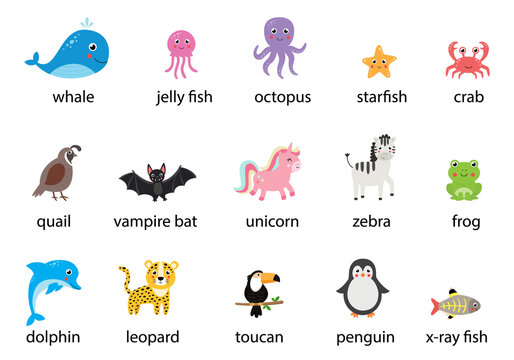 Set of cute cartoon animals with names. Vector illustrations.