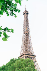 La tour Eiffel avec un peu de feuillage