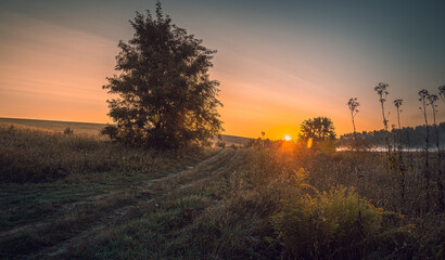 Summer moring among fields