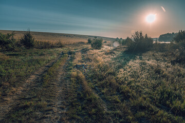 Summer moring among fields