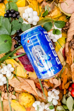 Saint-Petersburg, Russia, 17102018 Drink Pepsi Britney Spears in a glass tin bottle on autumn yellow green foliage of trees, spruce, berries, wild rose, birch, linden, white with a drop of dew, rain