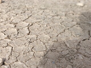 cracked soil