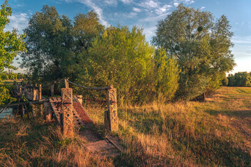 Summer moring among fields