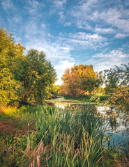 Summer moring among fields
