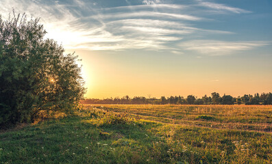 Summer moring among fields