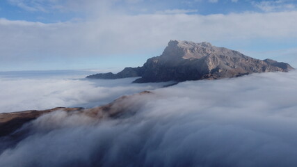 Obraz premium landscape with fog