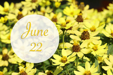 Day 22 of June month on beautiful floral  background of nature.