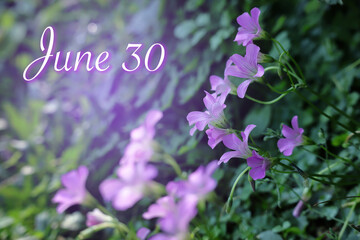 Day 30 of June month on beautiful floral  background of nature.