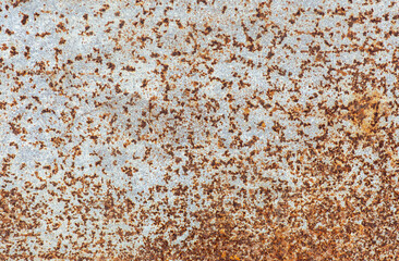Close up of rusty metal wall old metal sheet covered with rust and white paint iron panel for texture or background.