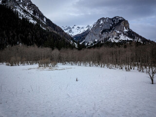 snow covered mountains