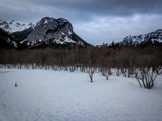 snow covered mountains