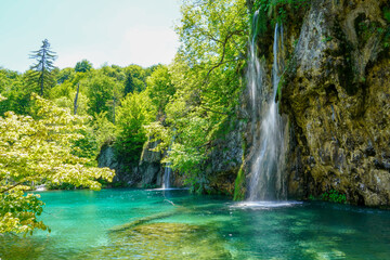 Fototapeta na wymiar Sunny summer day. A transparent shallow lake reflects the forest. Plitvice Lakes Park in Croatia, Central Europe. Many picturesque waterfalls flow along the clay cliffs. 