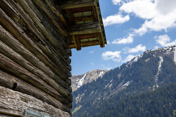 Fototapeta na wymiar Holzhütte mit Alpenpanorama und einer Blumenwiese