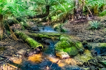 Tolangi Stream