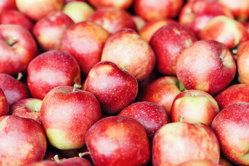 Juicy fruits, healthy food, vitamins and diet, harvest on farm