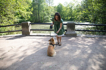 A beautiful girl walks with her dog corgi. Execute commands.
Corgi dog obeys mistress